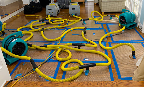 Professional Structural Drying And Dehumidification technician working in Fairview, NJ